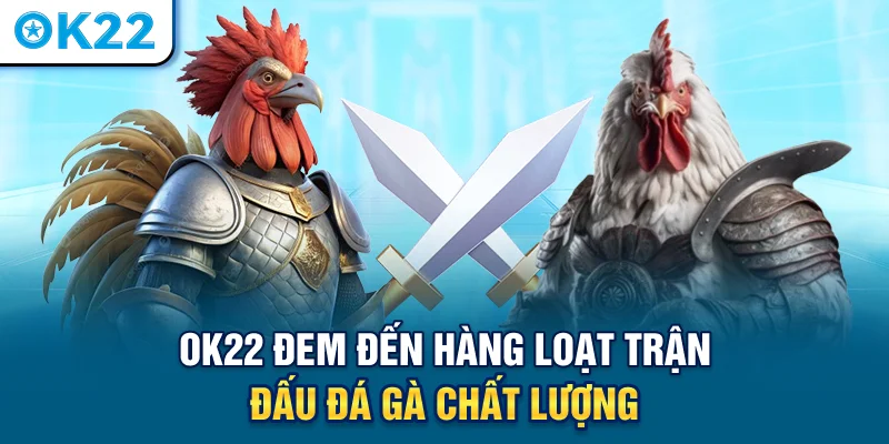 ok22-dem-den-hang-loat-tran-dau-da-ga-chat-luong