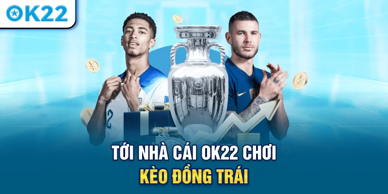 toi-nha-cai-ok22-choi-keo-dong-trai