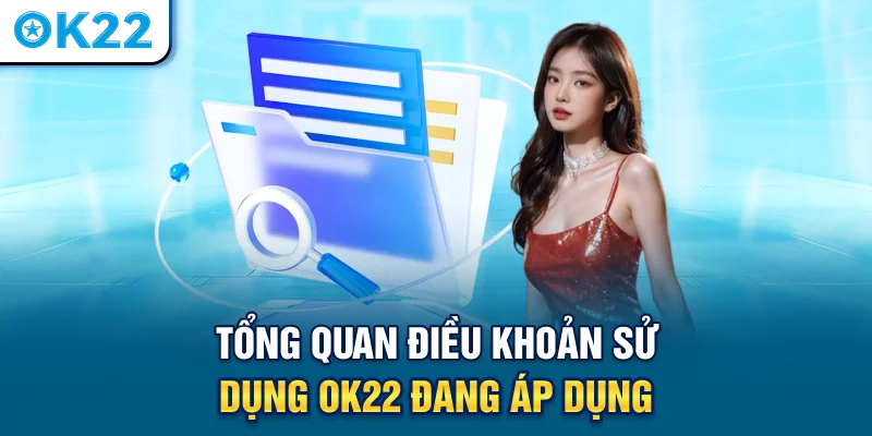 tong-quan-dieu-khoan-su-dung-ok22-dang-ap-dung